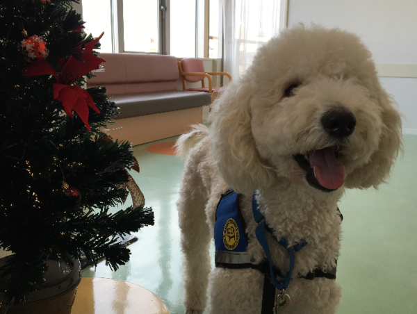 A17c9aaa61e80a1bf71d0d850af4e5baa9800bbd