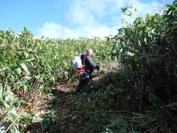 A17c9aaa61e80a1bf71d0d850af4e5baa9800bbd