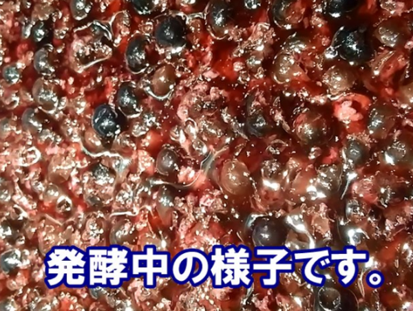 A17c9aaa61e80a1bf71d0d850af4e5baa9800bbd