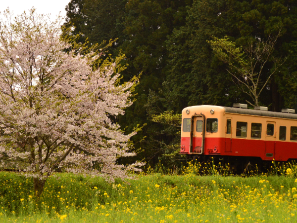 A17c9aaa61e80a1bf71d0d850af4e5baa9800bbd