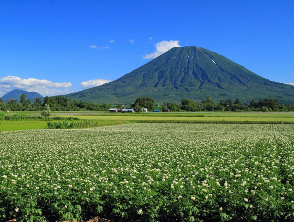 A17c9aaa61e80a1bf71d0d850af4e5baa9800bbd