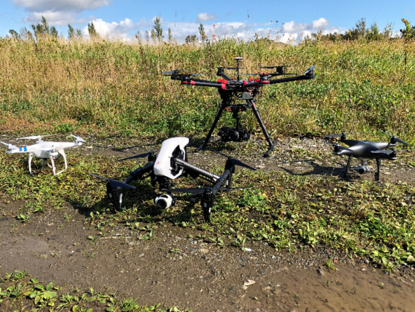 A17c9aaa61e80a1bf71d0d850af4e5baa9800bbd