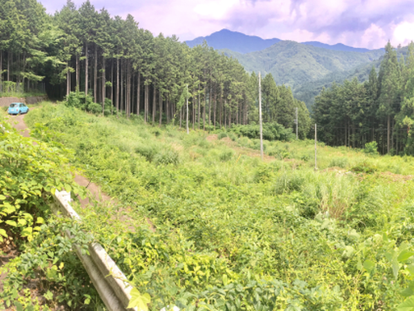 A17c9aaa61e80a1bf71d0d850af4e5baa9800bbd