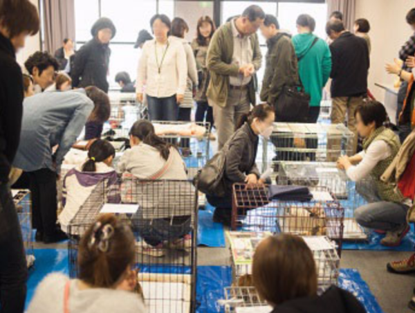 A17c9aaa61e80a1bf71d0d850af4e5baa9800bbd