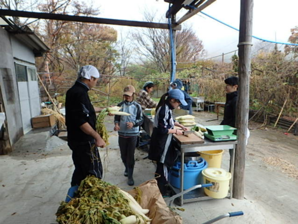 A17c9aaa61e80a1bf71d0d850af4e5baa9800bbd