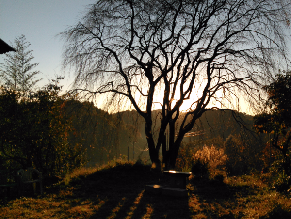 A17c9aaa61e80a1bf71d0d850af4e5baa9800bbd