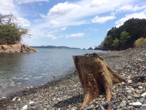 A17c9aaa61e80a1bf71d0d850af4e5baa9800bbd