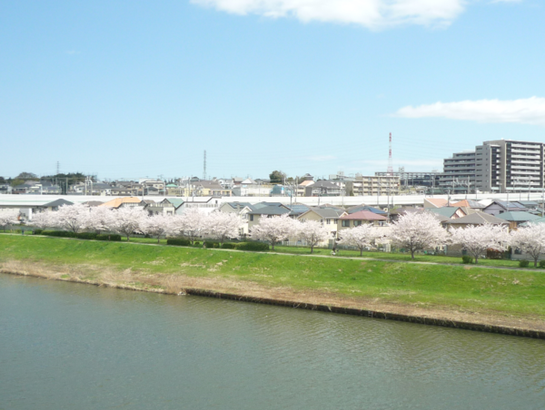 A17c9aaa61e80a1bf71d0d850af4e5baa9800bbd