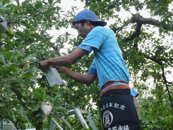 A17c9aaa61e80a1bf71d0d850af4e5baa9800bbd