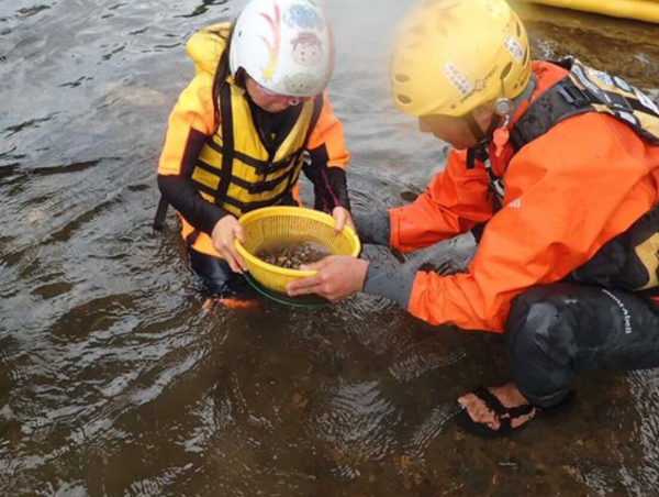 A17c9aaa61e80a1bf71d0d850af4e5baa9800bbd