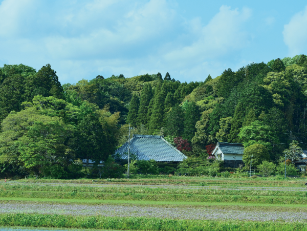 A17c9aaa61e80a1bf71d0d850af4e5baa9800bbd