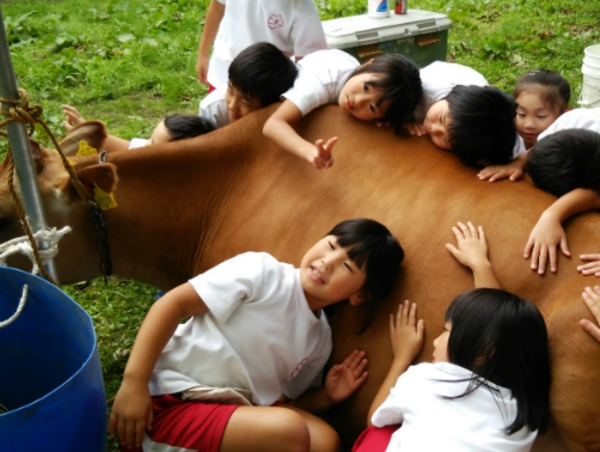 A17c9aaa61e80a1bf71d0d850af4e5baa9800bbd