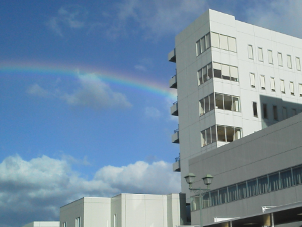 A17c9aaa61e80a1bf71d0d850af4e5baa9800bbd