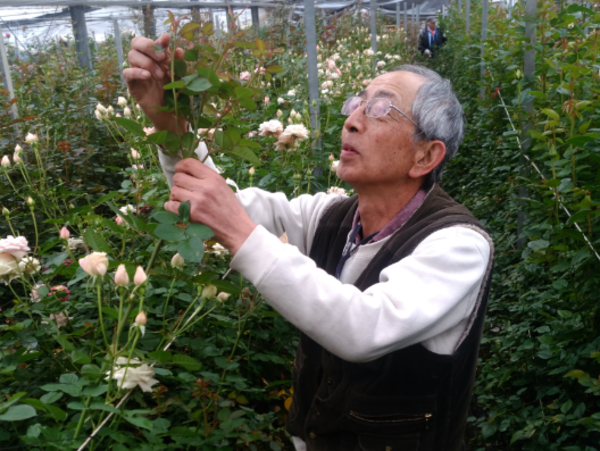 A17c9aaa61e80a1bf71d0d850af4e5baa9800bbd