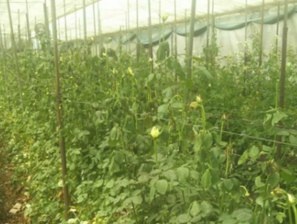 A17c9aaa61e80a1bf71d0d850af4e5baa9800bbd