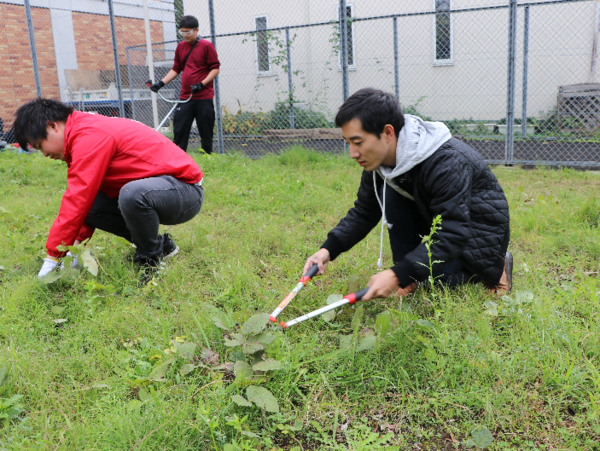 A17c9aaa61e80a1bf71d0d850af4e5baa9800bbd