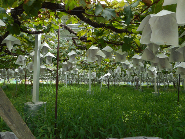 A17c9aaa61e80a1bf71d0d850af4e5baa9800bbd