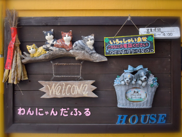 A17c9aaa61e80a1bf71d0d850af4e5baa9800bbd