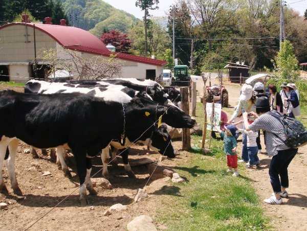 A17c9aaa61e80a1bf71d0d850af4e5baa9800bbd