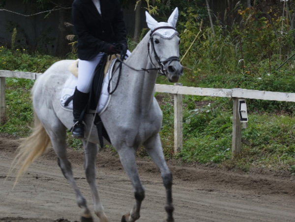 A17c9aaa61e80a1bf71d0d850af4e5baa9800bbd