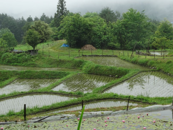 A17c9aaa61e80a1bf71d0d850af4e5baa9800bbd