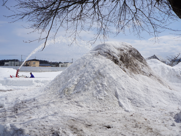 A17c9aaa61e80a1bf71d0d850af4e5baa9800bbd