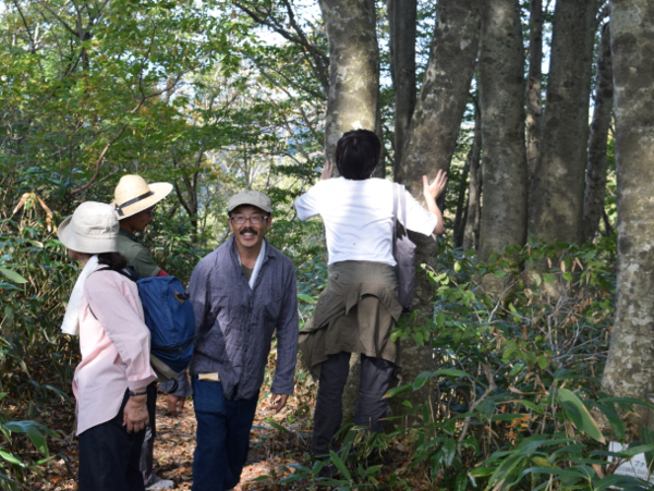 A17c9aaa61e80a1bf71d0d850af4e5baa9800bbd