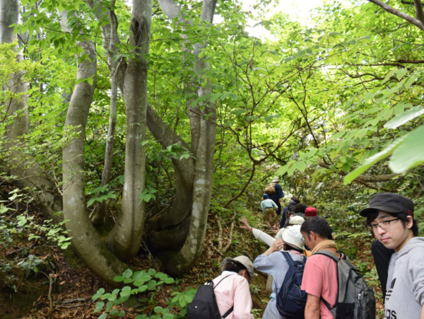 A17c9aaa61e80a1bf71d0d850af4e5baa9800bbd