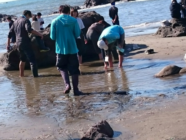 A17c9aaa61e80a1bf71d0d850af4e5baa9800bbd