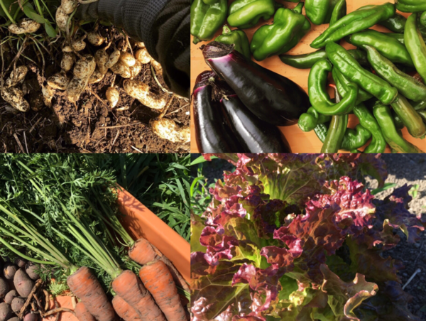 A17c9aaa61e80a1bf71d0d850af4e5baa9800bbd