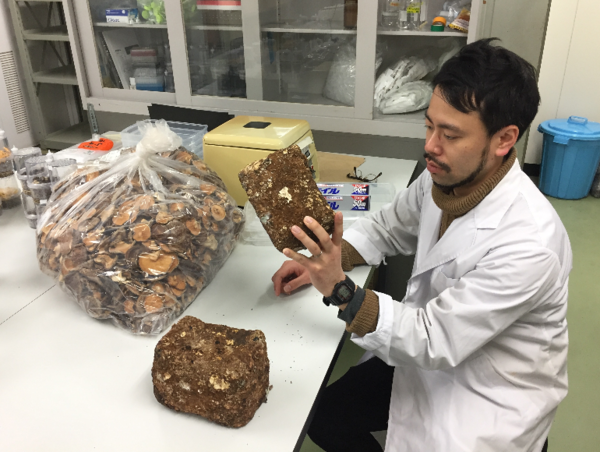 A17c9aaa61e80a1bf71d0d850af4e5baa9800bbd