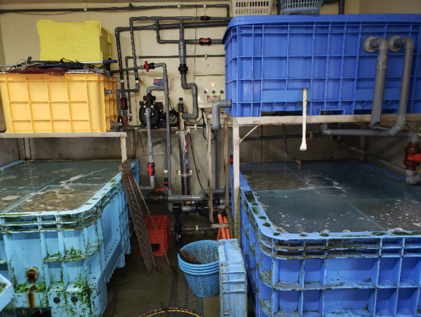 A17c9aaa61e80a1bf71d0d850af4e5baa9800bbd