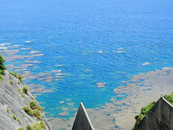 A17c9aaa61e80a1bf71d0d850af4e5baa9800bbd