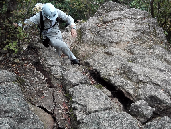 A17c9aaa61e80a1bf71d0d850af4e5baa9800bbd