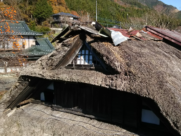 A17c9aaa61e80a1bf71d0d850af4e5baa9800bbd