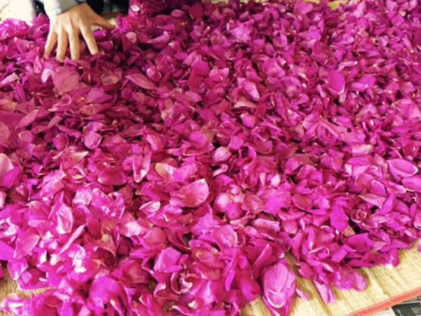 A17c9aaa61e80a1bf71d0d850af4e5baa9800bbd