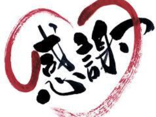 A17c9aaa61e80a1bf71d0d850af4e5baa9800bbd