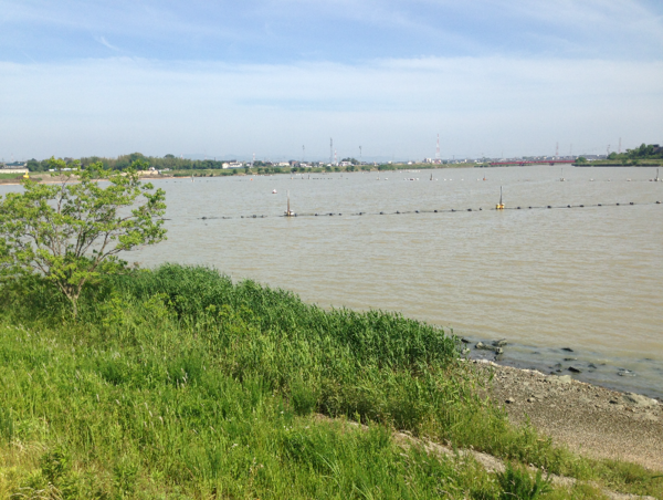 A17c9aaa61e80a1bf71d0d850af4e5baa9800bbd