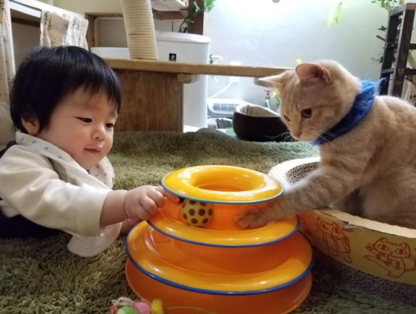 A17c9aaa61e80a1bf71d0d850af4e5baa9800bbd