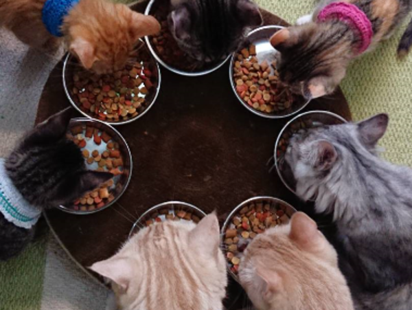 A17c9aaa61e80a1bf71d0d850af4e5baa9800bbd