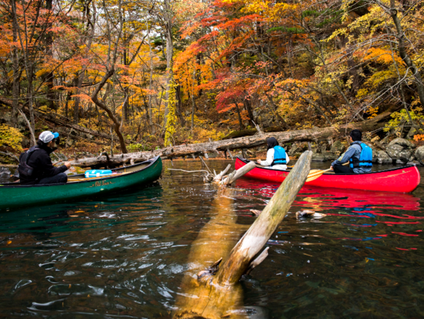 A17c9aaa61e80a1bf71d0d850af4e5baa9800bbd