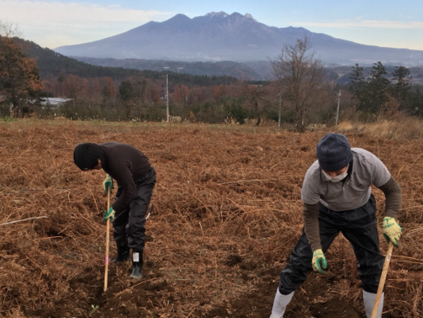 A17c9aaa61e80a1bf71d0d850af4e5baa9800bbd