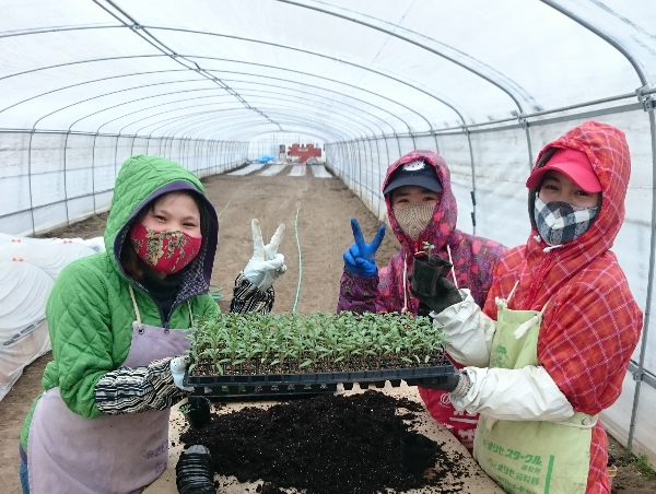 A17c9aaa61e80a1bf71d0d850af4e5baa9800bbd