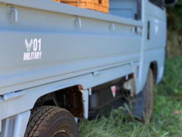 A17c9aaa61e80a1bf71d0d850af4e5baa9800bbd