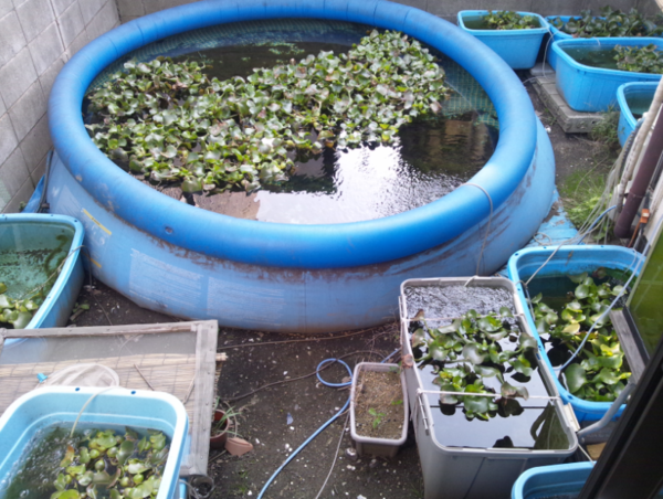 A17c9aaa61e80a1bf71d0d850af4e5baa9800bbd