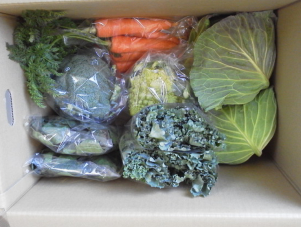 A17c9aaa61e80a1bf71d0d850af4e5baa9800bbd