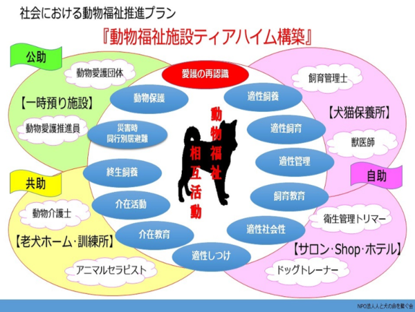 A17c9aaa61e80a1bf71d0d850af4e5baa9800bbd