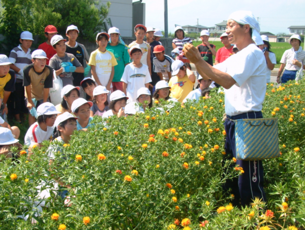 A17c9aaa61e80a1bf71d0d850af4e5baa9800bbd