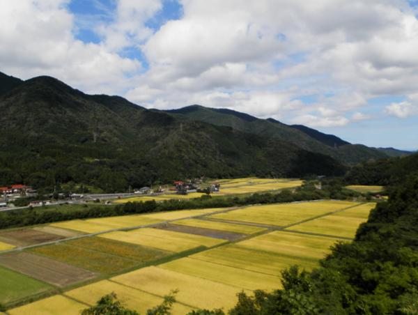 A17c9aaa61e80a1bf71d0d850af4e5baa9800bbd