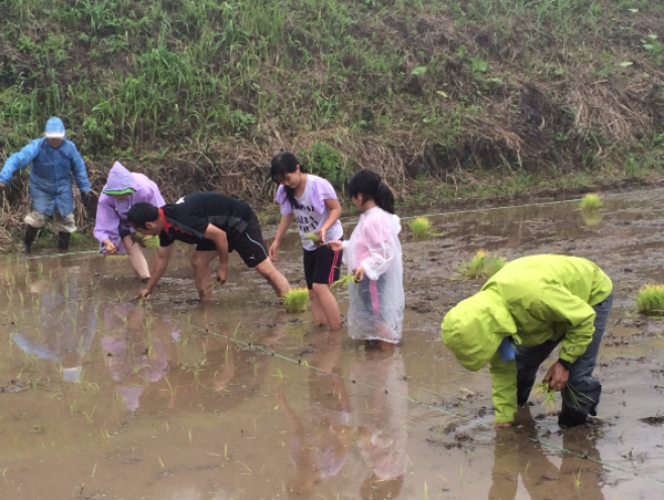 A17c9aaa61e80a1bf71d0d850af4e5baa9800bbd